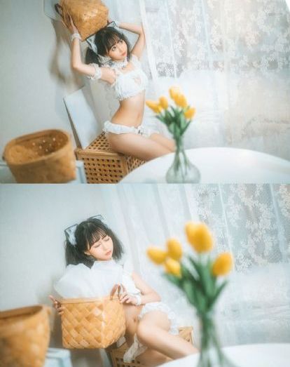 成人动漫免费看