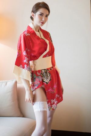 欧洲版的红楼梦