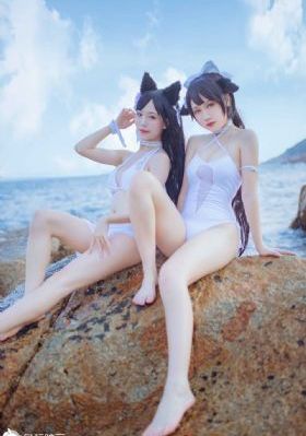 叶罗丽第十一季在线观看