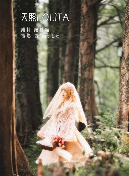欢迎回家在线观看免费