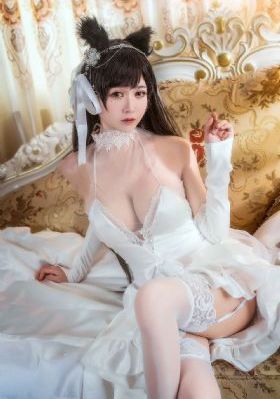 胡狼来了